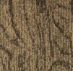 Oak 59425