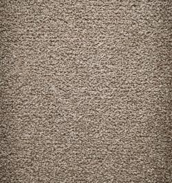 Westminster 49 Synth