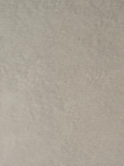 Коммерческий  линолеум Emerald Standart 72407