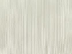 Elysium Герберы 96827