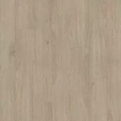 Kevin