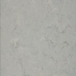 линолеум 3121-055 ash grey