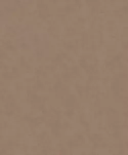 Shades 32431