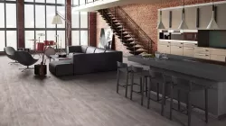 DELMAR