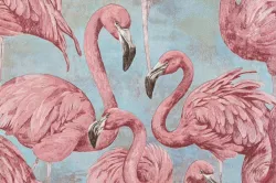 Nature 10364-03