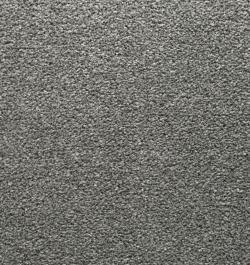 Westminster 79 Bionic