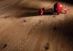 Дуб Excite