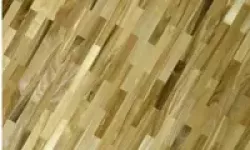 Ясень рустик разбежка