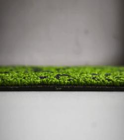 Sunrice Green