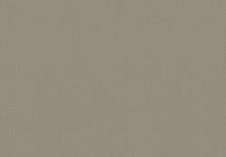 Cashmere 36512