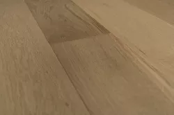 Дуб Шампань