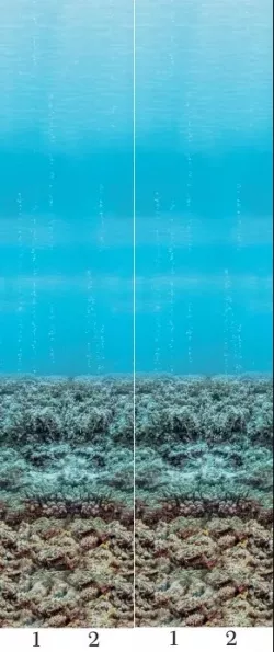 Подводный мир 03810