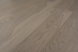 Дуб Капучино