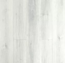 Дуб Рединг 67078