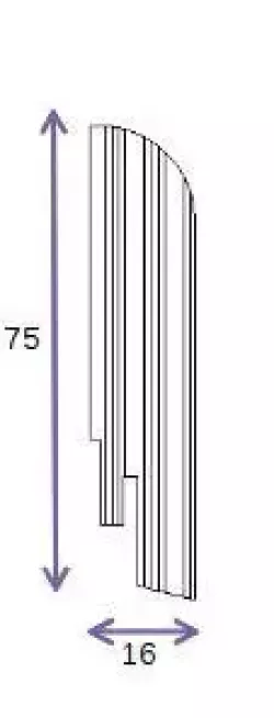 P14 Дуб дымчатый