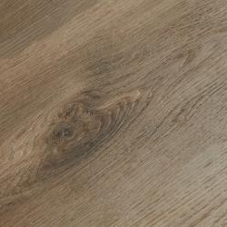 Дуб Тродия SH1707