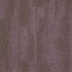 Coral 5411