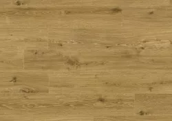 Дуб классический золотой CXCL40064
