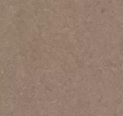 линолеум 0003 Dark-Brown