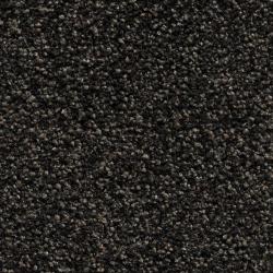 Pandora Black Accent