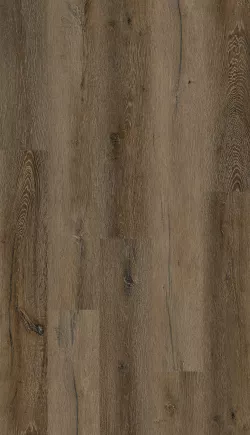Дуб азиатский SPC8812