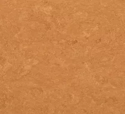 линолеум 0073 Spicy Orange