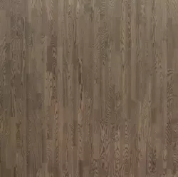 Ясень Техуано