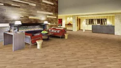 Коммерческий  линолеум Oak 1 (300001)