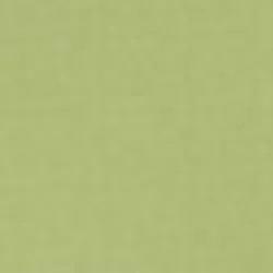Solid 2963