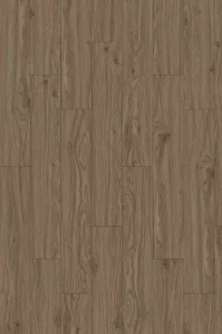 2123 WEATHERED OAK