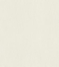 Allegretto 540802