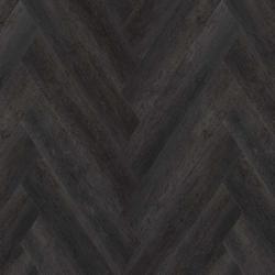 Скальный дуб CC021