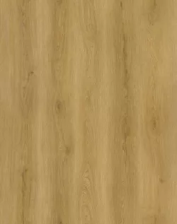 Женьшень 60462SH