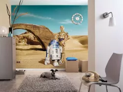 8-484 Star Wars Lost Droids