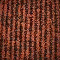 Sunrice Orange