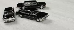Дуб Арктика