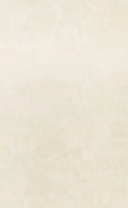 Бриз