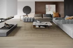P6001 Tusсon Oak