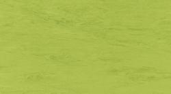 Коммерческий  линолеум 0121 Green Leaf