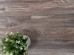 Дуб Эриксон AQ-13