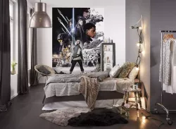 4-496 Star Wars Balance