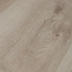 Дуб Честер 16167