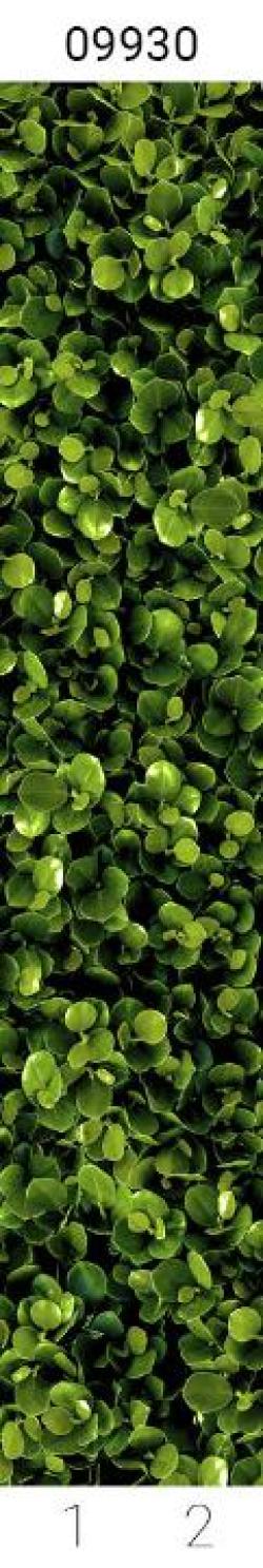 Амазонка 09930