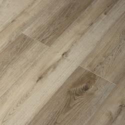 Дуб Сомерсет 16165