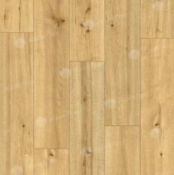 Mocoa 62536