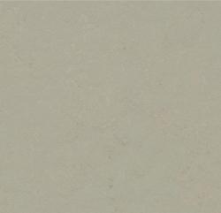 линолеум Concrete 3724