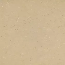 линолеум 137-012 light beige