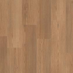 Latte Oak