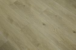 Cumin 02009