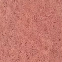 линолеум 125-110 salmon red